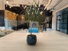 Lokal użytkowy Warszawa Śródmieście, Krakowskie Przedmieście - 4
