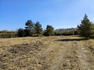 Działka budowlana 8600 m2 w klimatycznej miejscowości / Osuchów / Mszczonów - 6