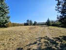 Działka budowlana 8600 m2 w klimatycznej miejscowości / Osuchów / Mszczonów - 7