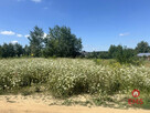 Działka budowlana Białystok Halickie, - 1
