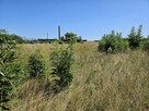 Działka inwestycyjna Śmigiel, - 2