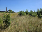 Działka inwestycyjna Śmigiel, - 3