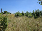 Działka inwestycyjna Śmigiel, - 4