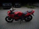 Kymco Quannon/KR Sport 125cm Stan Idealny 100%Bezwypakowy 100%sprawny z Niemiec 1`wlaściciel - 8