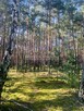 Działka pod rekreację | 2552 m2 | Wilga Ośrodek - 3