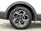 Kia Sportage SUV 1.6 T-GDI M+Smart M6 150KM Salon Polska - 13