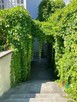 Olsztyn apartament do wynajęcia/ Stare Miasto - 1p - 14