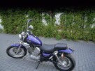 Yamaha Virago VIRAGO 535 100%Bezwypakowy Stan dobry sprawny z Niemiec głośny wydech - 8