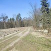 Sprzedam działkę, gm. Grabów nad Pilicą, Augustów - 1