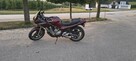 Yamaha XJ 600S 95r - 5
