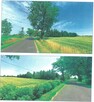 1/2 w nieruchomości Chodorążek - 10