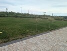 Całoroczny domek z dużą działką - blisko jeziora i Morza Bał - 10