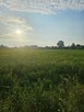 Sprzedam działkę budowlaną - Sitno, blisko Wyszkowa - 2