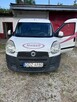 Syndyk sprzeda Fiat Doblo Maxi (chłodnia) - 1
