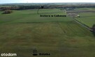 Dębe k. Czarnkowa | 974 m² | WZ na dom i garaż - 3