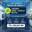 Lekka praca jako operator bez doswiadczenia!