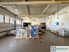 Lokal użytkowy Krajowice gm. Kołaczyce, - 15