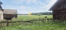 Małyszczyn, siedlisko 2,5 km od Ziołowego Zakątka - 5