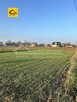 Działka budowlana Stasiówka gm. Łomazy, Stasiówka
