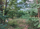 Działka budowlana Kotorydz gm. Tarczyn, - 8