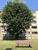 2 pokoje, loggia, widok na zieleń Katowice - 2