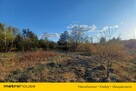 DUŻY TEREN INWESTYCYJNY 6800 m² CHOSZCZÓWKA - 6