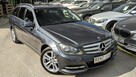 Mercedes C 200 2.2D*136PS*OPŁACONY Bezwypadkowy Klimatronik Navi*Serwis*VIP GWARANCJA - 7