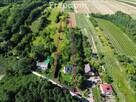 Dom na sprzedaż- Nałęczowska okazja - 1
