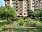 2-pokojowe w centrum Torunia! Parter! - 15