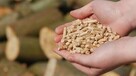 Pellet Drzewny Premium ENplus A1