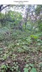 Sprzedamy działkę 1074m2 Plot for sale Zielona Gora centrum - 11