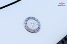 Mercedes Citan FV23% * Zadbany * 109 CDI * Pełny Serwis w Cenie *12 mieś Gwarancja - 7