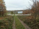 Dom Parzeń gm. Brudzeń Duży - 10