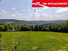 Działka 90 ar z Wz  Olszowa, TANIO ! - 4