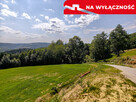 Działka 90 ar z Wz  Olszowa, TANIO ! - 5