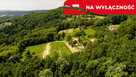 Działka 90 ar z Wz  Olszowa, TANIO ! - 14