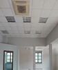 Lokal użytkowy Kobyłka - 4