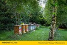 Sprzedam dom ze stawem,95.65m2, pod Skierniewicami - 12