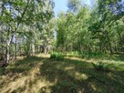 Działka Marianek gm. Gorzkowice - 4