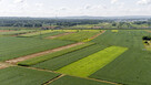 Działki budowlane z 2 WZ Łęg tarnowski - 2