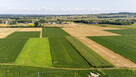 Działki budowlane z 2 WZ Łęg tarnowski - 10