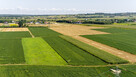 Działki budowlane z 2 WZ Łęg tarnowski - 11