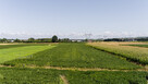Działki budowlane z 2 WZ Łęg tarnowski - 12