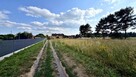 Działka 2684 m² w zielonej okolicy - Modrzewie - 4