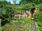 Działka ROD Huculska-300m2, przy zbiorniku Pacyfik - 3