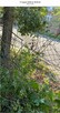 Sprzedamy działkę 1074m2 Plot for sale Zielona Gora centrum - 4