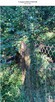 Sprzedamy działkę 1074m2 Plot for sale Zielona Gora centrum - 13