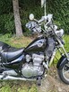 Motor Kawasaki Vulcan 500 - 1