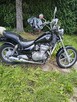 Motor Kawasaki Vulcan 500 - 3