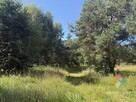 Woryty, budowała działka 1085 m2, Jezioro, las - 4